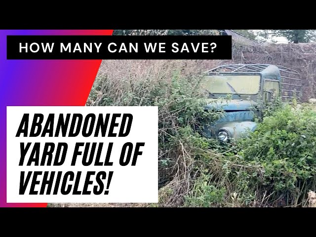 We found a GAZ Army truck, Talbot Murena, Volvo & much more abandoned, can we save them?