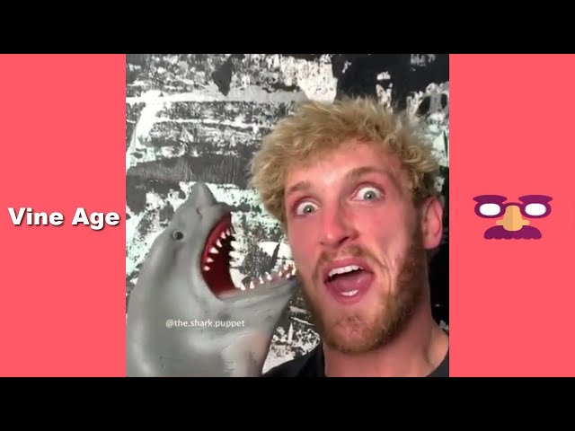 Funny Shark Puppet Compilation | Best Video of Shark Puppet | September 2019