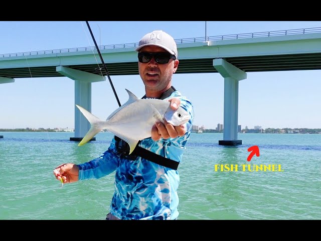 Sand Key Park Clearwater Florida POMPANO Fishing! (Red Tide Update)
