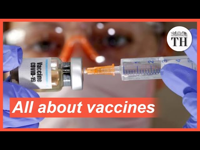 How vaccines create immunity