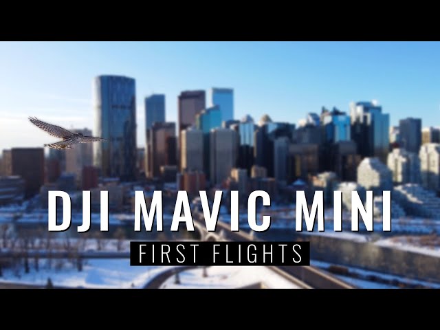 DJI Mavic Mini First Flights