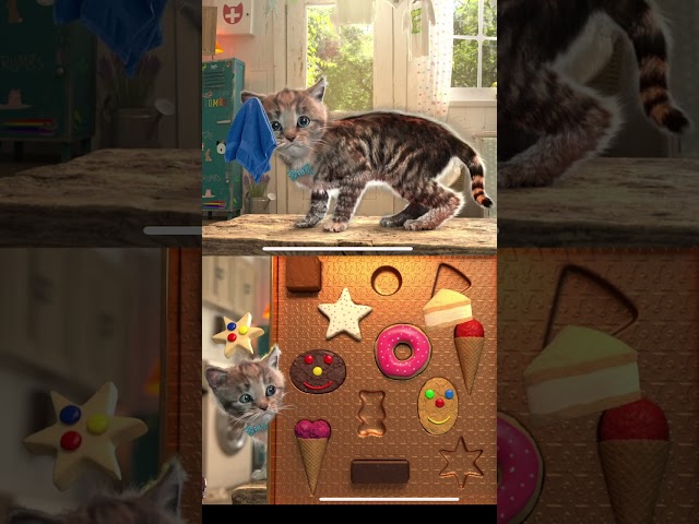 SUPER LITTLE KITTEN ADVENTURE - SHORT STORY OF A CUTE LITTLE KITTY - PET CARE AND CUDDLES AND PUZZLE