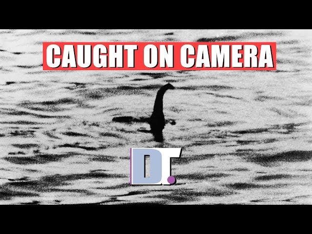 Shocking Footage Caught On Camera