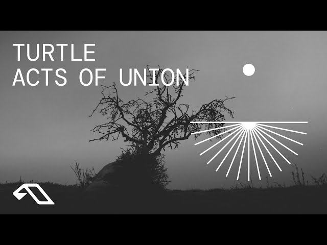 Turtle - Acts Of Union