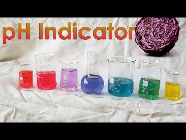 Make your OWN pH Indicator from Red Cabbage!