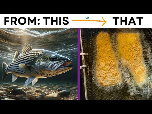 A Recipe Guaranteed to Impress | Cooking BASS to Perfection | Fish Fry