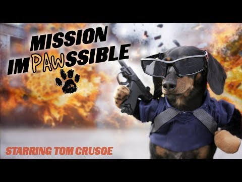 Ep 12: MISSION IMPAWSSIBLE (Finale) - Funny Dog Video