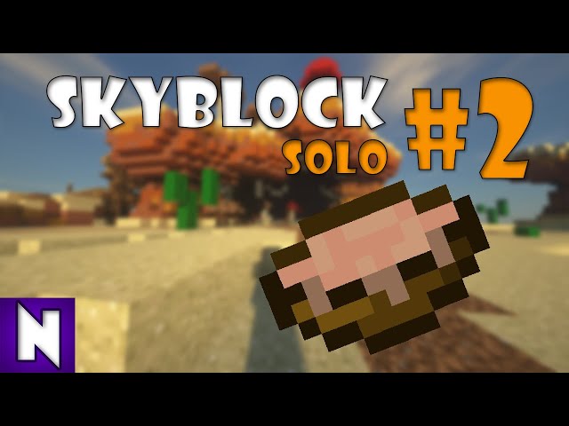 Minions and SOUP - Hypixel Skyblock solo 2