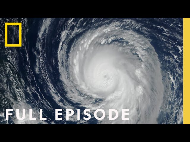Gulf of Mexico (Full Episode) | Drain the Oceans