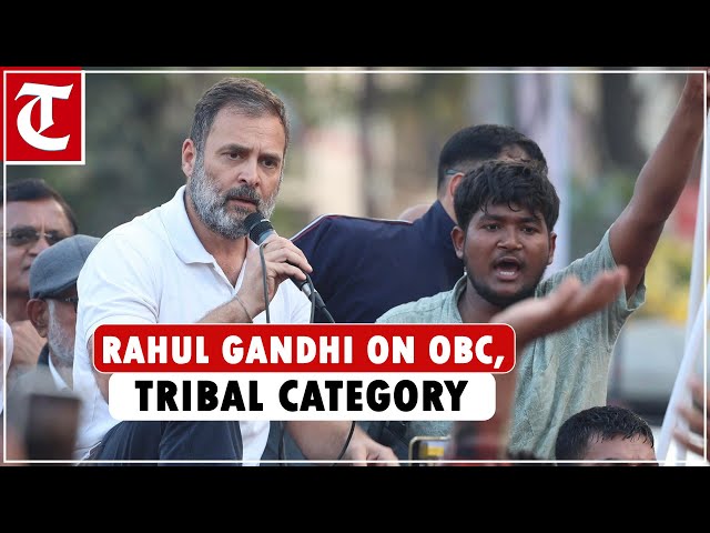 OBC, Dalit, tribal are 73%, but none among top 200 firms in India owned by them: Rahul Gandhi