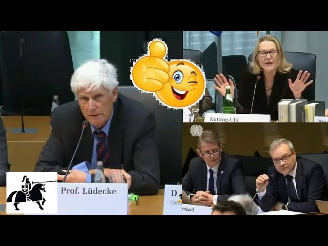 :-D Klima-Experte versaut "Party" im Umwelt-Ausschuss - Grüne Vorsitzende erbost!