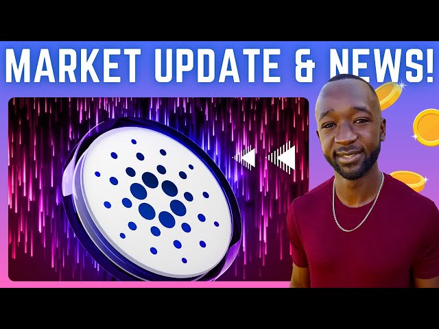 Cardano's TOP Performing Tokens, New Integrations & Governance Updates!