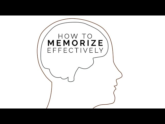 how to remember everything 🧠 effective study tips!