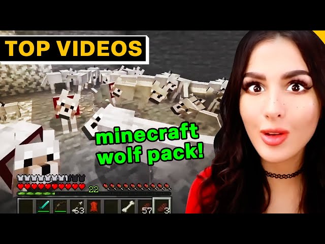 Most Epic Gaming Moments | SSSniperWolf
