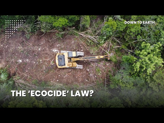 The global push to criminalise 'ecocide'