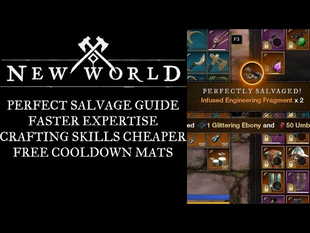 New World Complete Perfect Salvage Guide, Fast Expertise, Level Crafting  Cheaper,  Cooldown Mats