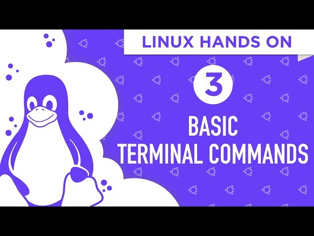 Linux Hands On: Basic Linux Commands and Tricks (Part 1 - Episode 3)