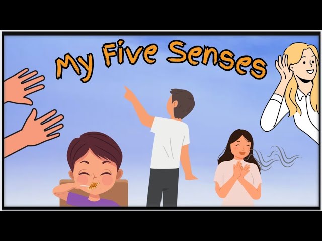 My Five Senses Short Video Story Read Aloud For Kids | 5 Senses - Sight Touch Hearing Smell Taste
