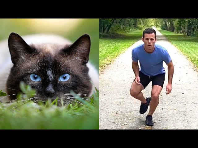 How animals would act if they were people. (Compilation)
