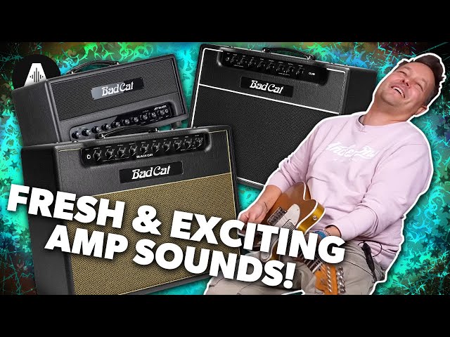 Lee & Pete Fall In Love With These Amps! Bad Cat's Latest Amps & New Jet Black Amps!