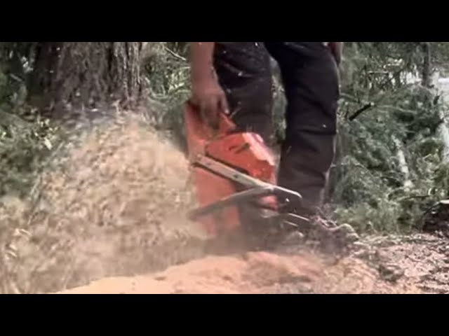 Chainsaw on steroids