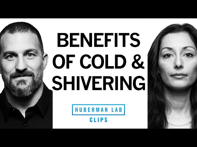 Benefits of Cold Exposure, Shivering & Brown Fat | Dr. Susanna Søberg & Dr. Andrew Huberman