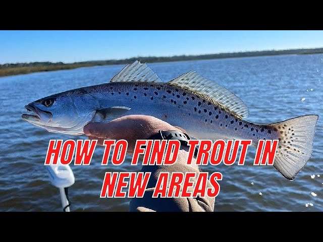 How To Find Trout In A New Area [Fishing Report]