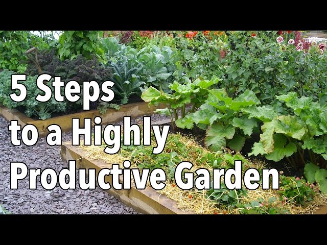 Vegetable Gardening: How to Plan a Highly Productive Garden
