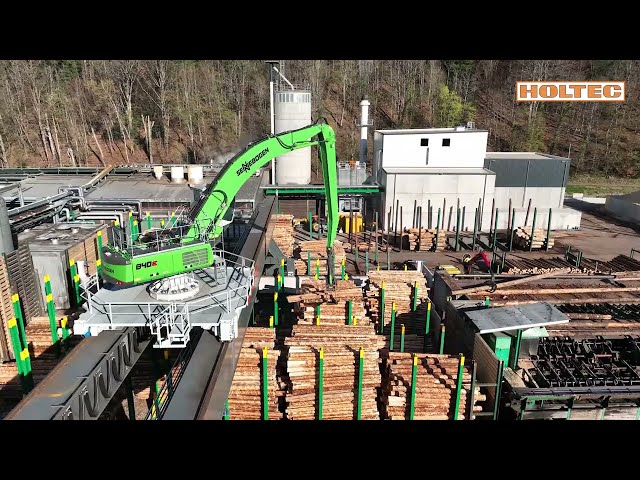 Holtec - dold Holzwerke Portalkrankonzept mit Sennebogen Elektro Bagger