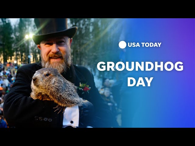 Watch: Groundhog Day 2023: Phil predicts 6 more weeks of winter | USA TODAY