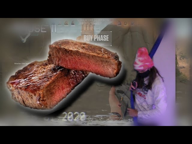 The physics of plant-based meat™  [Valorant funny moments]