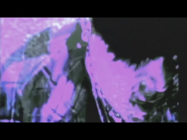 demxntia x guardin - elegy (music video)