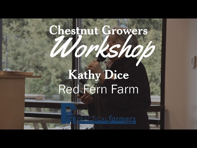 Chestnut Handling & Curing - Kathy Dice