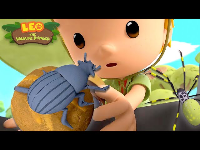 CREEPY Crawlies?! 🐛🐞 Spiders, Dung Beetles, Worms 🐜🪲 Leo the Wildlife Ranger | Kids Cartoons