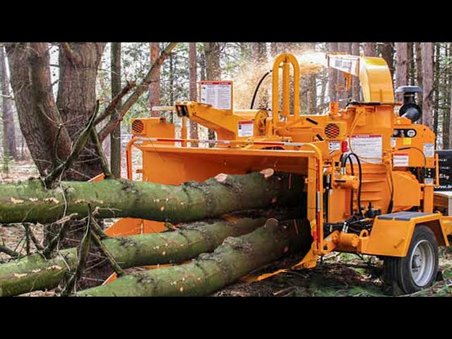 Fastest Huge Tree Crusher Equipment Action, Dangerous Tree Destroyer Wood Shredder Chipping Machines