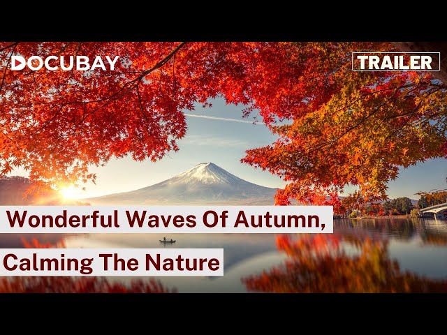 A Season Filled With Beauty, Tranquility, And Reflection, Autumn Is A Favourite Season For All