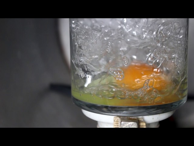 Egg in a Vacuum Chamber
