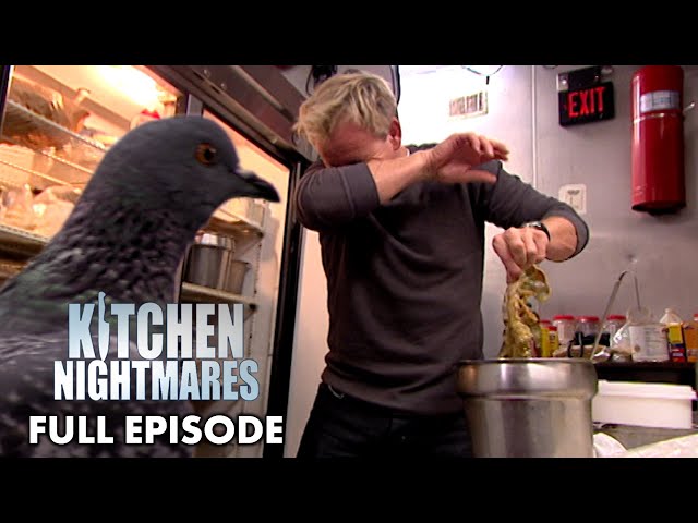 The Infamous Moment Gordon Ramsay Finds A Pigeon In The Kitchen | Kitchen Nightmares