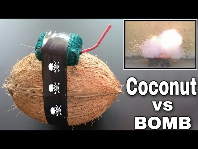 COCONUT VS BOMB