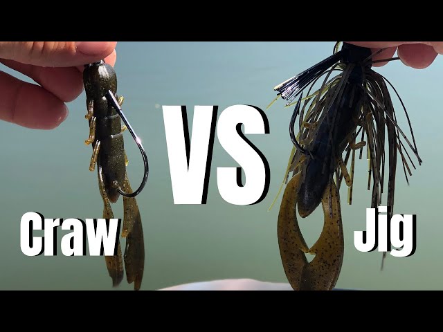 Does A JIG Really Catch BIGGER BASS? (Jig VS Plastic Challenge) // Putting the Jig to the Test Ep. 1
