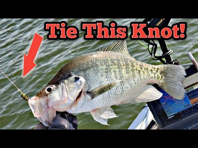 Absolute Best Crappie Fishing Knots .. Loop Knot /Clinch Knot Tutorial