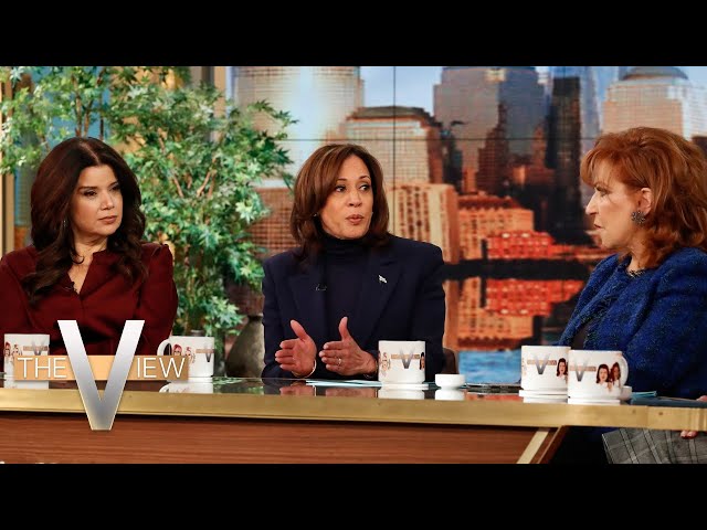 Vice Pres. Kamala Harris On the Biden Administration's Response to the Israel-Hamas War | The View