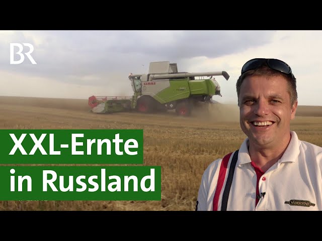 Getreide-Ernte auf riesigen Feldern in Russland | Unser Land | BR Fernsehen