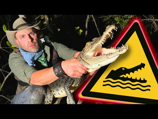 Croc Catch Bare Handed!