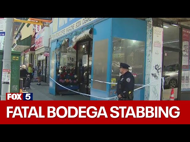 Man killed after being stabbed inside Queens bodega