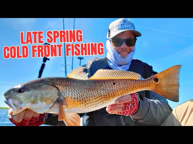 Shaking Up Strategies To Fish A Late-Season Cold Front