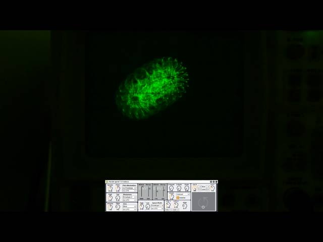 Max for Live oscilloscope patch: fractal spiral 1.8