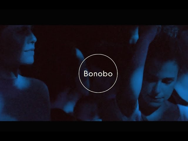 Bonobo - The North Borders Tour (Official Trailer)