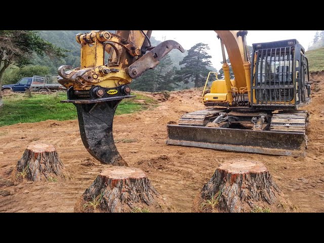 Dangerous Monster Stump Destroy Equipment Working, Fastest Stump Grinding Wood Shredder Machines