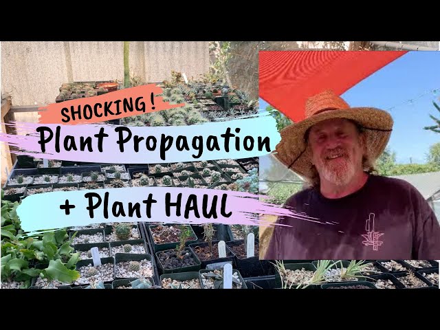 (Shocking) Plant Propagation Methods by Rob Roy plus CACTUS PLANT HAUL (Part 2)